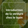 Introduction verdure lapin