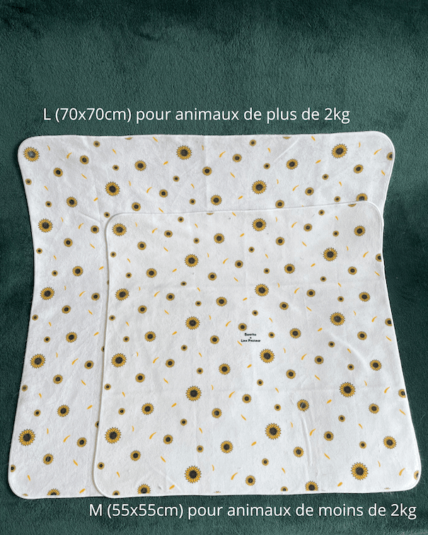 Bunrito taille M et L