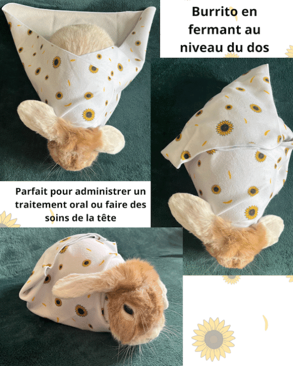 exemple bunrito
