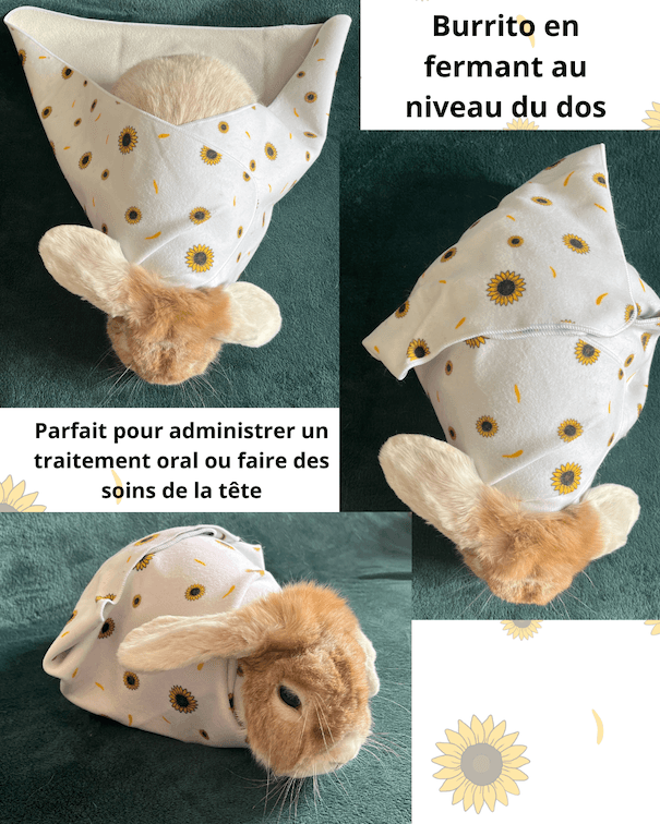exemple bunrito