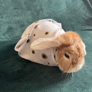 Bunrito Rosalind